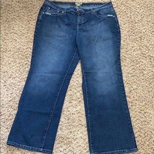 Earl plus size jeans